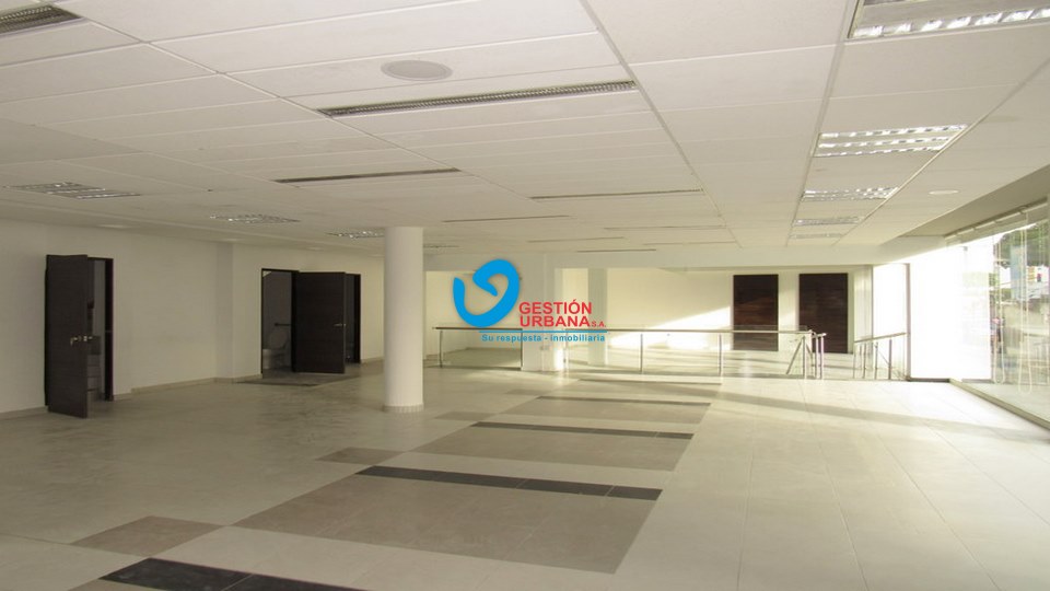 2967.jpg