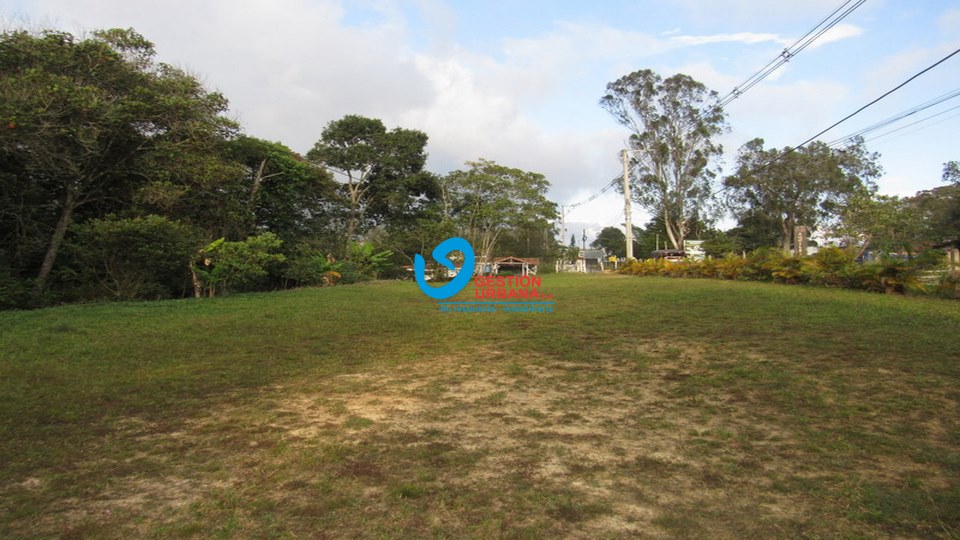 3481F5.jpg