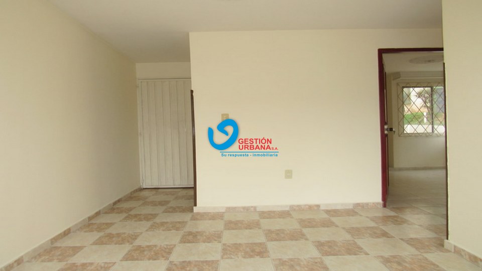 954.jpg