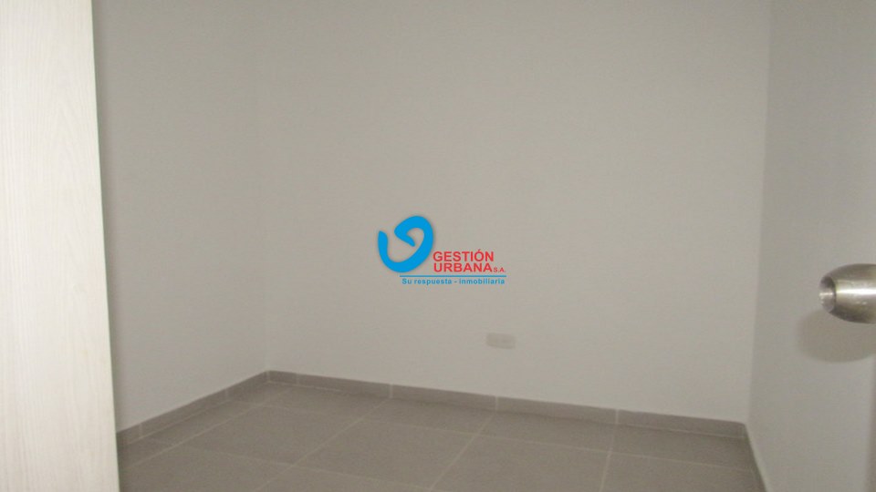 4244F4.jpg