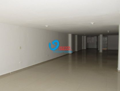 CABECERA-LOCAL-Código 3591