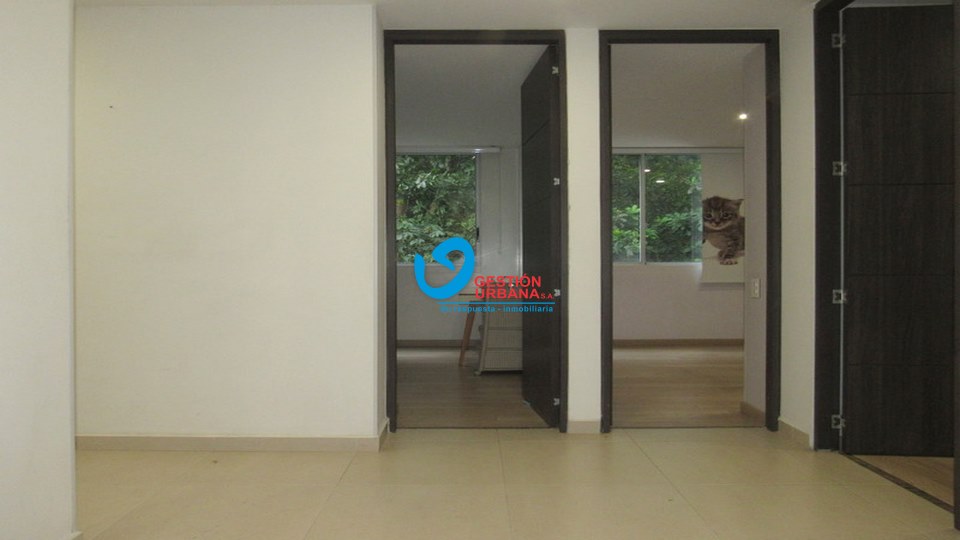 4270F13.jpg